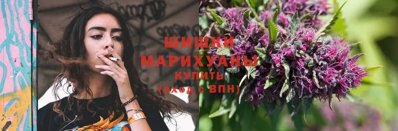 Шишки марихуана SATIVA & INDICA  Терек 